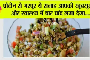 Protein Salad Recipe: प्रोटीन से भरपूर ये सलाद आपकी खूबसूरती और स्वास्थ्य में चार चांद लगा देगा….