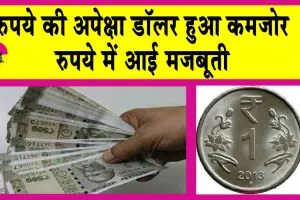 Rupee Rises: डॉलर के मुकाबले रुपया मजबूत, 6 वर्षों की सबसे बड़ी तेजी