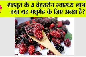 Shahtoot Benefits: शहतूत के 4 बेहतरीन स्वास्थ्य लाभ, क्या यह मधुमेह के लिए अच्छा है?