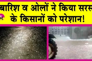 Sirsa Weather: फसल कटाई में जुटे हैं किसान, बारिश व ओलावृष्टि ने बरपाया कहर