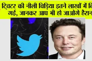 Twitter News: ट्विटर की नीली चिड़िया इतने लाखों में बिक गई, जानकर आप भी हो जाओगे हैरान