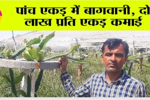 Agriculture News: पांच एकड़ में बागवानी, दो लाख प्रति एकड़ कमाई