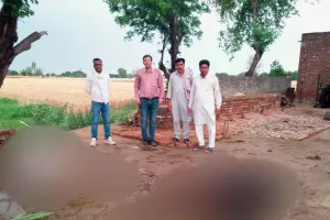 Sky Lightning: गांव बरूवाली में आसमान बिजली गिरने से दो पशुओं की मौत
