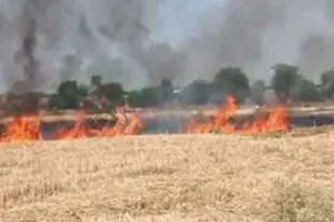 Greater Noida Fire: ग्रेटर नोएडा के इस गांव में लगी भयंकर आग