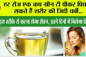 Green Tea: हर रोज एक कप ग्रीन टी पीकर पिघला सकते हैं शरीर की जिद्दी चर्बी…बस इस तरीके से करना होगा सेवन, इतने दिनों में मिलेगा रिजल्ट