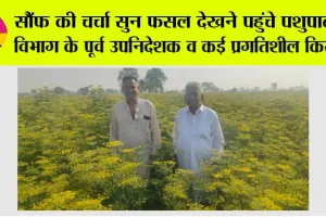 सौंफ की चर्चा सुन फसल देखने पहुंचे पशुपालन विभाग के पूर्व उपनिदेशक व कई प्रगतिशील किसान