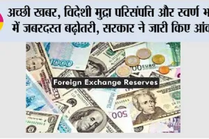 Reserve Bank News: विदेशी मुद्रा परिसंपत्ति और स्वर्ण भंडार में जबरदस्त बढ़ोतरी, सरकार ने जारी किए आंकड़े