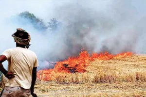 Haryana News: ‘पराली संरक्षण बल’ करेगा पराली जलाने की रोकथाम, ड्रोन होंगे तैनात