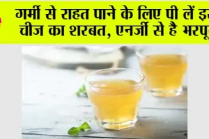 Summer Special: गर्मियों में ठंडक का बेहतरीन विकल्प है पौष्टिक और ताजगी से भरपूर शरबत