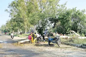 Strong Storm: तेज तूफान ने मचाई तबाही, सैकड़ों पेड़ धराशायी