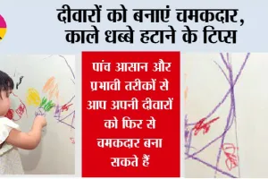 दीवारों को बनाएं चमकदार: काले धब्बे हटाने के टिप्स