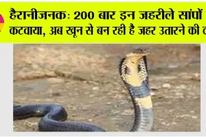 Cobra News: एक ही दवा से कई सांपों के जहर का इलाज संभव, इस इन्सान ने 200 से ज्यादा बार सांपों का जहर शरीर में उतारा