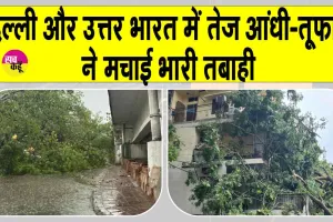 Delhi NCR Weather Update: दिल्ली और उत्तर भारत में तेज़ आंधी-तूफान ने मचाया कोहराम! देखें तबाही का मंजर!