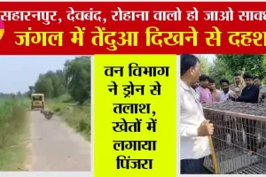जंगल में तेंदुआ दिखने से दहशत, वन विभाग ने ड्रोन से तलाश, खेतों में लगाया पिंजरा