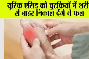 Foods For Uric Acid: यूरिक एसिड को चुटकियों में शरीर से बाहर निकाल देंगे ये फल