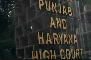 सोनीपत से पूर्व विधायक सुरेंद्र पंवार को मनी लॉन्ड्रिंग मामले में हाईकोर्ट से बड़ी राहत