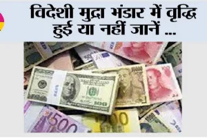 Gold Reserves: विदेशी मुद्रा भंडार में वृद्धि हुई या नहीं जानें…