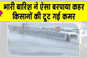 Weather Update: तमिलनाडु में बेमौसम बारिश, किसानों को लगा तगड़ा झटका