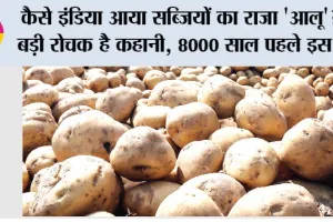 History and origin of Potato: कैसे इंडिया में आया सब्जियों का राजा ‘आलू’? बड़ी रोचक है कहानी, 8000 साल पहले इस देश में उगाया गया था