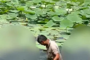 देवी मंदिर तालाब में मृत मिली सैकड़ों मछलियां, श्रद्धालुओं में रोष