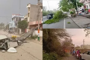 Haryana Weather: अचानक चली धूल भरी तेज हवाएं, पेड़ गिरे, सड़के जाम, बिजली गुल
