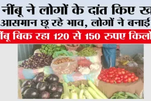 Lemon Price Hike: नींबू ने लोगों के दांत किए खट्टे, आसमान छू रहे भाव, लोगों ने बनाई दूरी