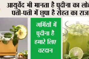 Summer Drink: आयुर्वेद भी मानता है पुदीना का लोहा! पत्ती-पत्ती में छुपा है सेहत का राज, गर्मियों में नहीं अमृत से कम