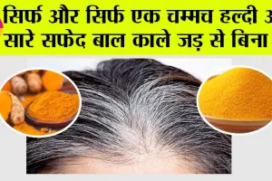 White Hair Problem: सिर्फ और सिर्फ एक चम्मच हल्दी और सारे सफेद बाल काले जड़ से बिना! …