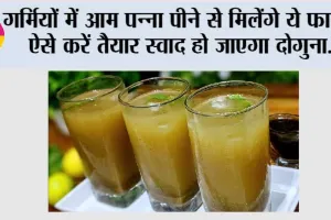 Aam Panna Drink: स्वाद, सेहत और ठंडक का मेल है आम पना, जानिए इसके चमत्कारी लाभ