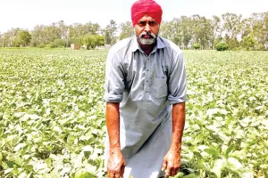 Agriculture News: गोलेवाला के किसान निर्मल सिंह ने दिखाई नई राह