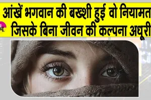 Tips to improve eyesight: आंखों में जलन, पानी आना, दृष्टि कमजोर होना तथा धुंधलापन जैसी समस्याएं हैं तो अपनाएं ये आसान टिप्स, बढ़ेगी रोशनी