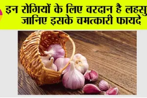 Garlic Benefits: इन रोगियों के लिए वरदान है लहसुन, जानिए इसके चमत्कारी फायदे