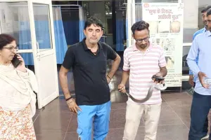 Snake News: नागरिक अस्पताल में सांपों के मिलने से कर्मचारी और मरीजों में दहशत का माहौल