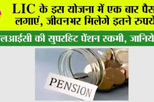 LIC Pension Plan: एलआईसी के इस योजना में एक बार पैसा लगाएं, हर साल मिलेगे इतने रुपये!
