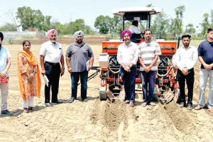 Punjab: मक्की की खेती को बढ़ावा देने के लिए सरकार पायलट प्रोजेक्ट