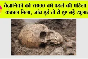 OMG News: वैज्ञानिकों को 71000 वर्ष पहले की महिला का कंकाल मिला, जांच हुई तो ये हुए बड़े खुलासे…