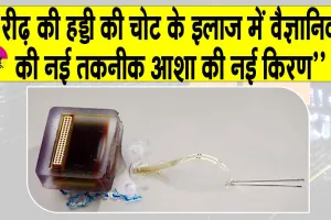 Spinal cord injury treatment: अब रीढ़ की हड्डी में गंभीर चोट के बाद भी रहें बेफिक्र!
