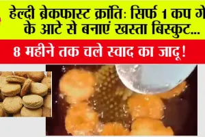 Breakfast Aata Biscuit: सिर्फ 1 कप गेहूं के आटे से बनाएं खस्ता बिस्कुट, 8 महीने तक चले स्वाद का जादू!