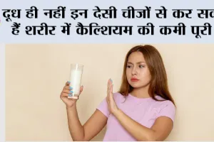 Calcium Rich Foods: दूध ही नहीं इन देसी चीजों से कर सकते हैं शरीर में कैल्शियम की कमी पूरी…