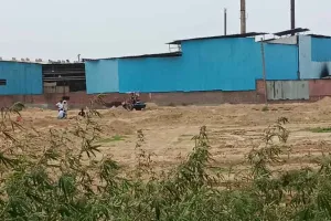 समता योग आश्रम के मोड़ पर खेती योग्य जमीन पर बसा दी गई कालोनी, निगम व जिला नगर योजनाकार की चुप्पी संदेह के दायरे में