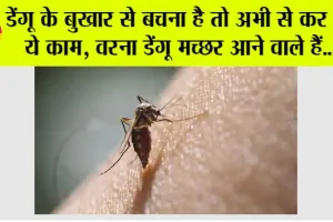 Dengue Fever Symptoms: डेंगू का बुखार कब और कैसे होता है, जानें-इसके लक्षण, और बचाव