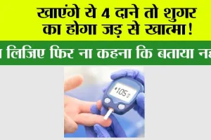 Diabetes Treatment: बिना चिंता करें ये 4 दाने खाएं, शुगर के लिए अमृत हैं…