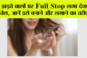 Hair Fall In Monsoon: झड़ते बालों पर Full Stop लगा देगा ये तेल, जानें इसे बनाने और लगाने का तरीका…