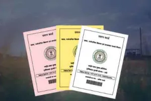 Haryana Ration Card: इस वक्त की सबसे बड़ी खबर, हरियाणा में अब इन लोगों के कटेंगे राशन कार्ड, अगर इन्होंने नहीं किया ये काम, मंत्री जी ने जांच भी बिठा दी