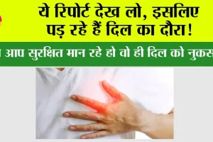Heart Attack: ये रिपोर्ट देख लो, इसलिए पड़ रहे हैं दिल का दौरा!