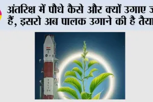 ISRO News: अंतरिक्ष में पौधे कैसे और क्यों उगाए जाते हैं, ISRO अब पालक उगाने की है तैयारी