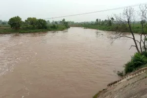चांदपुरा में घग्घर सायफन पर नदी के जलस्तर में उछाल