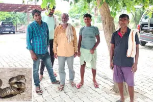 Snake Bites: धान लगाने आये प्रवासी मजदुर को सोते समय सांप ने काटा, तीन घंटे बाद मौत