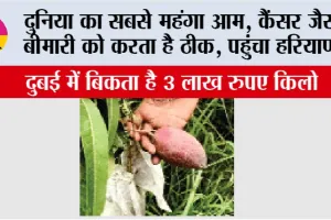 Aam Mela: दुनिया का सबसे महंगा आम, कैंसर जैसी बीमारी को करता है ठीक, पहुंचा हरियाणा