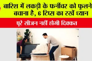 Monsoon Furniture Care Tips: बारिश में लकड़ी के फर्नीचर को फूलने से बचाना है, 6 टिप्स का रखें ध्यान